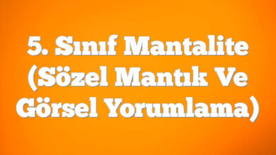 5. Sınıf Mantalite (Sözel Mantık ve Görsel Yorumlama)