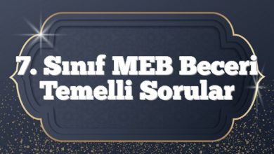 7. Sınıf MEB Beceri Temelli Sorular