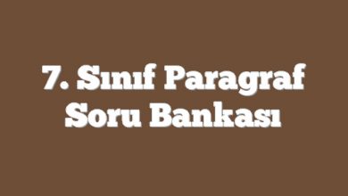 7. Sınıf Paragraf Soru Bankası