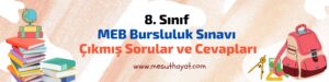 8. Sınıf MEB Çıkmış Bursluluk Soruları (İOKBS) 1 Light Pink Minimalist Welcome to Our Classroom Classroom Banner