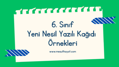 Sari ve Mavi El Yazisi Sosyal ve Duygusal Ogrenme SDO Duygu Kontrolu Hava Durumu Egitim Sunumu 2