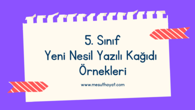 Sari ve Mavi El Yazisi Sosyal ve Duygusal Ogrenme SDO Duygu Kontrolu Hava Durumu Egitim Sunumu 3
