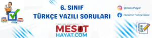 6. SINIF TÜRKÇE YAZILI SORULARI 1 6.sınıf Türkçe yazılı soru ve cevapları