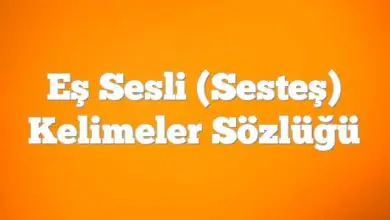 Eş Sesli (Sesteş) Kelimeler Sözlüğü