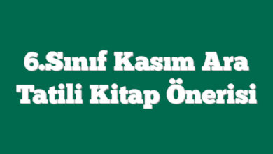 6.Sınıf Kasım Ara Tatili Kitap Önerisi