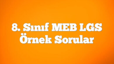 8. Sınıf MEB LGS Örnek Sorular