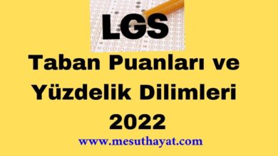 lgs yüzdelik dilimler