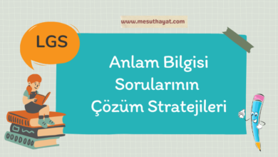 Anlam Bilgisi Sorularının Çözüm Stratejileri