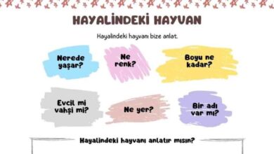 Hayvanlarin ozelliklerini ayirt etme cizim etkinlikli 4 yas Calisma Sayfasi 724x1024 1