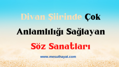Divan Şiirinde Çok Anlamlılığı Sağlayan Söz Sanatları 5 Divan Şiirinde Çok Anlamlılığı Sağlayan Söz Sanatları