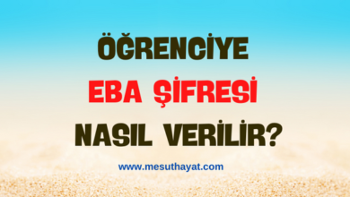 Öğrenciye EBA şifresi nasıl verilir? 9 kirmizi Kurumsal Kizilay Haftasi Instagram Gonderisi 800 × 300 piksel 700 × 300 piksel 600 × 250 piksel 400 × 200 piksel 1