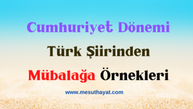 Cumhuriyet Dönemi Türk Şiirinden Mübalağa Örnekleri 7 Cumhuriyet Dönemi Türk Şiirinden Mübalağa Örnekleri