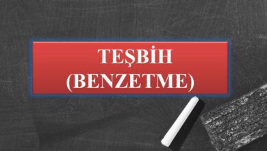 Teşbih (Benzetme) Sanatına Dair 8 Teşbih (Benzetme) Sanatına Dair