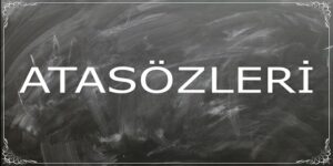 19905347 10155407057912557 1629217030072858935 n