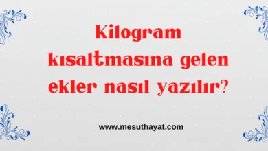 kirmizi Kurumsal Kizilay Haftasi Instagram Gonderisi 800 × 300 piksel 700 × 300 piksel 600 × 250 piksel 400 × 200 piksel