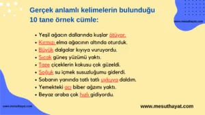 gercek anlam