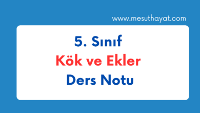 5. Sinif Kok ve Ekler Ders Notu