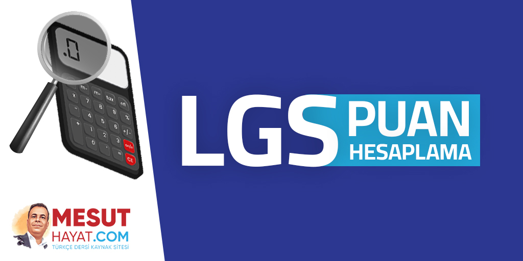 LGS Puan Hesaplama